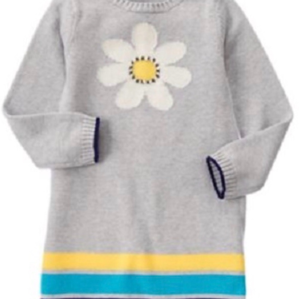 Gymboree Gray Dress with Daisy and Colorful Stripes